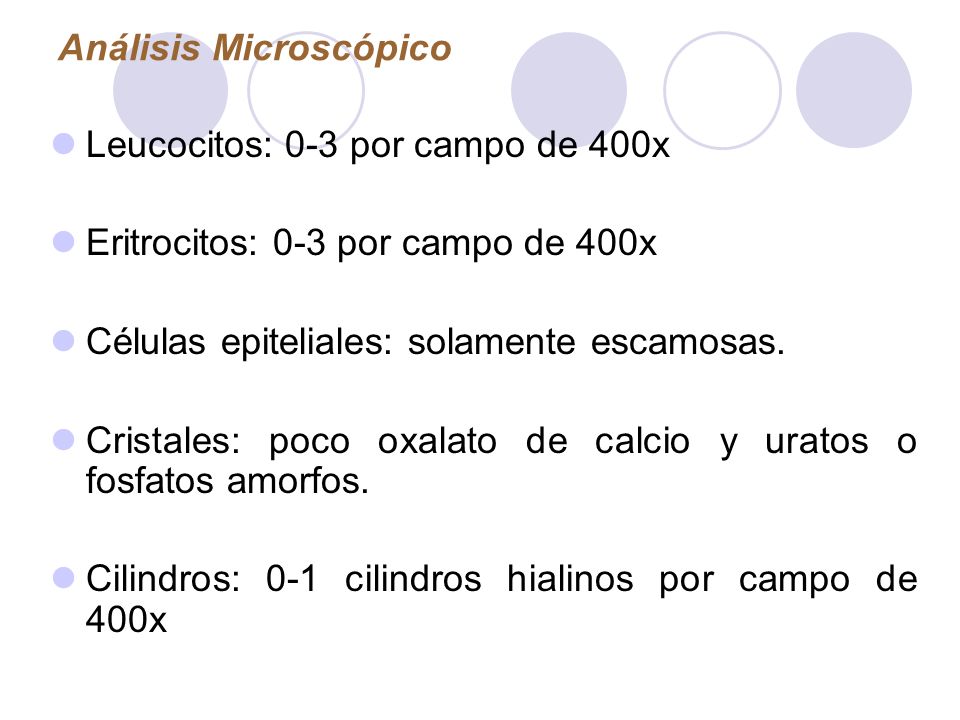 que significa leucocitos 0-1 por campo en orina